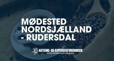 Kopi_af_Overskrift_200_x_200_px_375_x_200_px.jpg